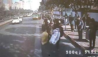 网友爆料猪场事件真相视频,网友爆料揭露惊人内幕