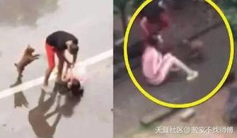 重庆爆料男子被打视频曝光,街头暴力事件引发社会关注