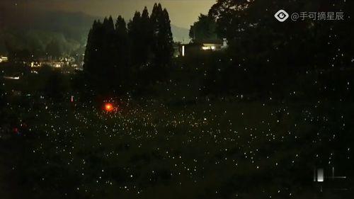 萤火虫技能爆料攻略视频,揭秘视频中的实战技巧与策略解析