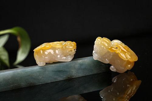 新宠物貔貅爆料视频