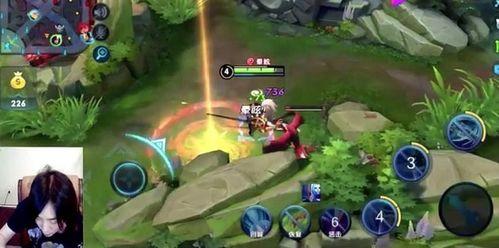 大仙韩信爆料视频大全下载,视频大全背后的惊人真相