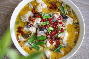 酸菜鱼的爆料视频大全集,揭秘美食背后的故事与真相