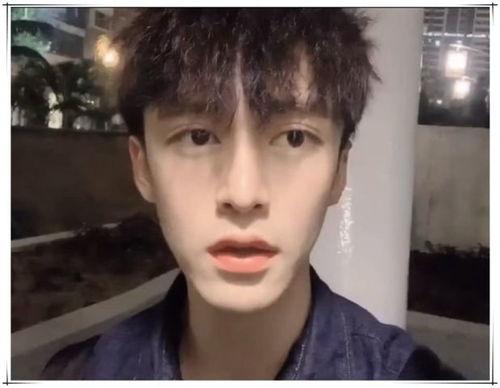 胡歌弟弟爆料视频,揭秘娱乐圈不为人知的秘密