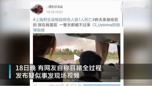 喜乐饲养员爆料视频,视频曝光日常饲养幕后趣事